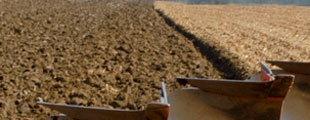 Cultivo del suelo