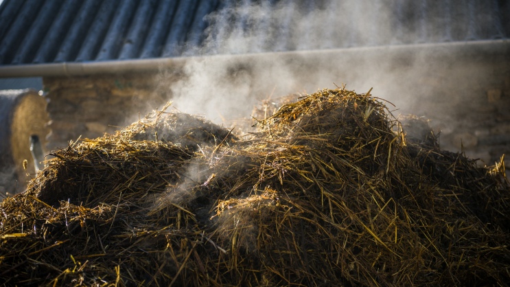 Biogas aus Stroh als zukunftsfähige Alternative der modernen Biogasgewinnung