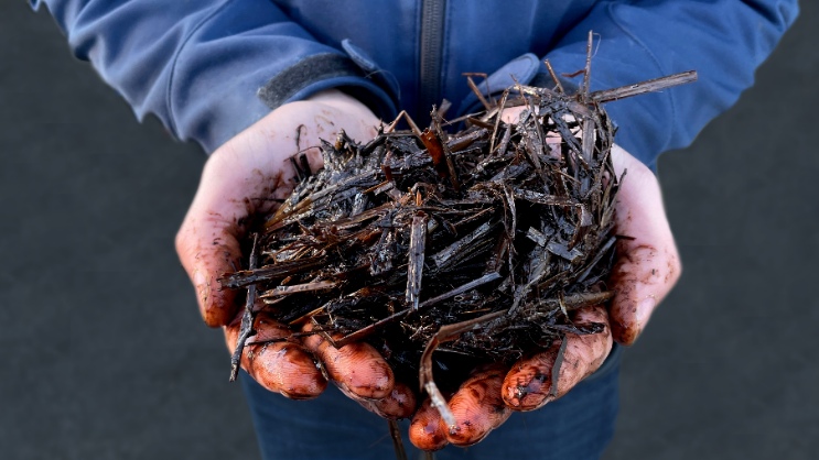 ESTABLISHED SUSTAINABILITY - Biogas and raw compost from horse manure